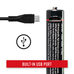 ZX100 Rechargeable Battery