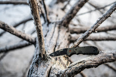 A black stainless steel blade assist folding knife sitting on a snowy tree branch in a snow covered tree. 